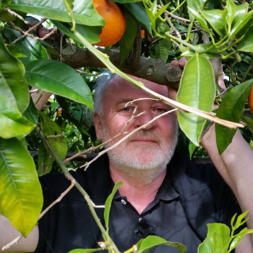 30 Jahre Wieser Verlag